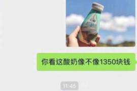 辽阳融资清欠服务